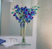 Grand Hotel Wyong - Accommodation Port Hedland