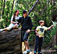 Tahune Airwalk Lodge - Accommodation Port Hedland