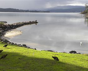 Huon Charm Waterfront Cottage - Accommodation Port Hedland 3