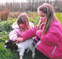 Huon Valley Caravan Park - Accommodation Port Hedland