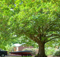 Lakes and Craters Holiday Park - Accommodation Port Hedland
