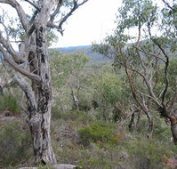 The Glen - Accommodation Port Hedland