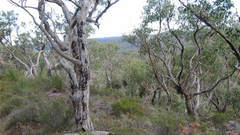 The Glen - Accommodation Port Hedland 0