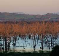 Salisbury - Accommodation Port Hedland