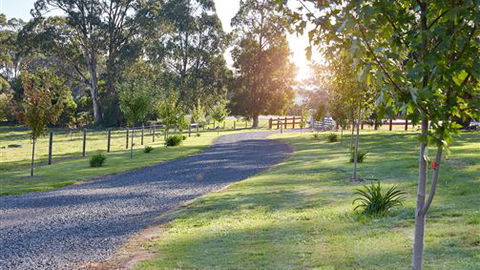 Neerim Chateau - Accommodation Port Hedland 6