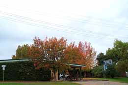 Allambie Motel Pty Ltd - Accommodation Port Hedland 0
