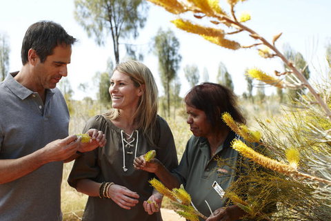 Ayers Rock Campground - Accommodation Port Hedland 2