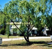 Blue Topaz Caravan Park  Camping Ground - Accommodation Port Hedland