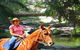 Cedar Creek Lodges At Thunderbird Park™ - thumb 7