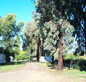 Cudal Caravan Park - Accommodation Port Hedland