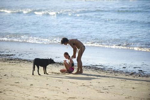 North Coast Holiday Parks Scotts Head - Accommodation Port Hedland 2