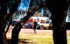 Opal Inn Caravan Park - thumb 1