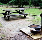 Bellbird campground - Accommodation Port Hedland