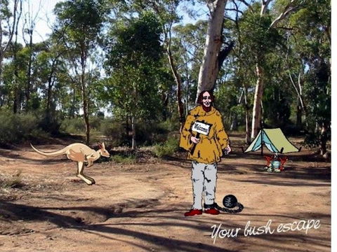 Toodyay Holiday Park & Chalets - Accommodation Port Hedland 2