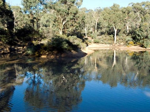 Toodyay Holiday Park & Chalets - Accommodation Port Hedland 4