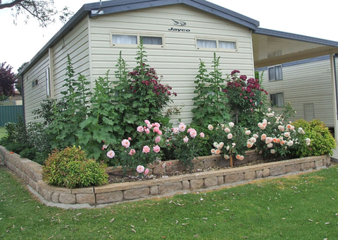 Walcha Caravan Park - Accommodation Port Hedland 3