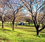 Wellington Caves Caravan Park - Accommodation Port Hedland