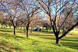 Wellington Caves Caravan Park - Accommodation Port Hedland 0