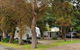Woodbine Tourist Park - thumb 4
