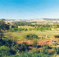 Pecan Hill Bed and Breakfast - Accommodation Port Hedland