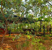 Arnhemland Barramundi Nature Lodge - Accommodation Port Hedland