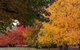 Laurel Hill Forest Lodge - thumb 3