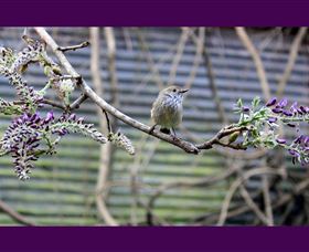 MossGrove Bed And Breakfast - Accommodation Port Hedland 2