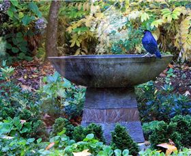 MossGrove Bed And Breakfast - Accommodation Port Hedland 4