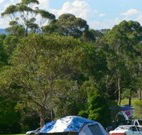Milton Valley Holiday Park - Accommodation Port Hedland