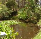 Tallowood Ridge B and B - Accommodation Port Hedland