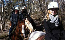JE Resort (Jindabyne Equestrian Resort) - Accommodation Port Hedland 1