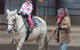 JE Resort (Jindabyne Equestrian Resort) - thumb 3