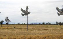 Gulargambone Hotel - Gulargambone - Accommodation Port Hedland 0