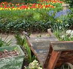 The Carrington Inn - Accommodation Port Hedland