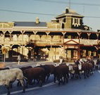 The Commercial Hotel Coonamble - Coonamble - Accommodation Port Hedland