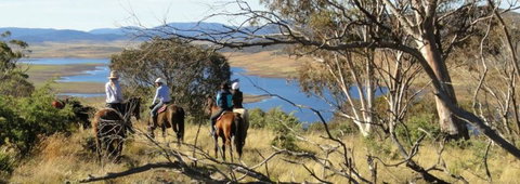Reynella Homestead And Horseback Rides - Accommodation Port Hedland 3