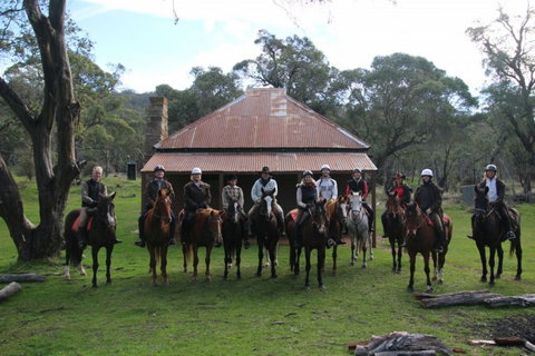 Reynella Homestead And Horseback Rides - Accommodation Port Hedland 4
