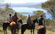 Reynella Homestead And Horseback Rides - thumb 0