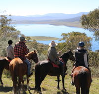 Reynella Homestead and Horseback Rides - Accommodation Port Hedland