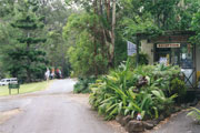 Tamborine Mountain Caravan & Camping - Accommodation Port Hedland 0