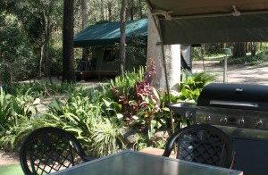 Tamborine Mountain Caravan & Camping - Accommodation Port Hedland 2