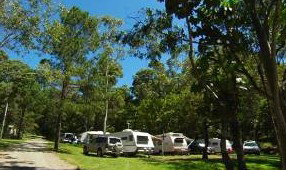 Tamborine Mountain Caravan & Camping - Accommodation Port Hedland 3