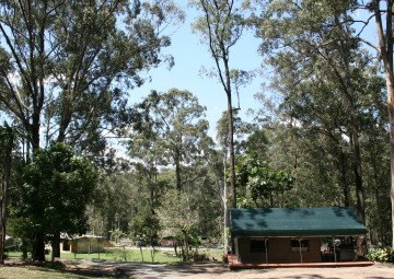 Tamborine Mountain Caravan & Camping - Accommodation Port Hedland 4