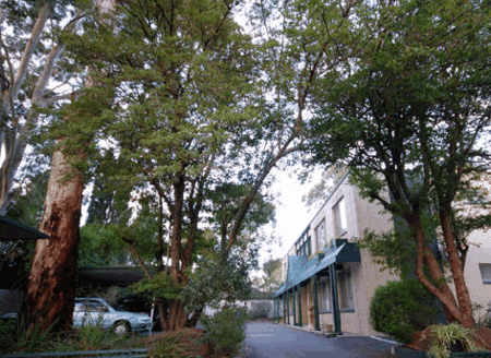 Adelaide Oakford Apartments