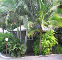 Nambour Rainforest Holiday Village - Accommodation Port Hedland 1