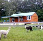 Moorallie Cottage Farm Stay - Accommodation Port Hedland