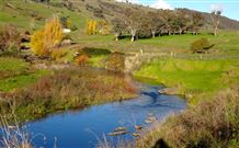 Ralda's Cottage - Accommodation Port Hedland 0