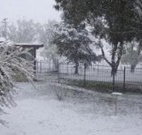 Tirrintippin - Accommodation Port Hedland