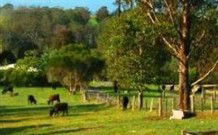 Giba Gunyah Country Cottages - Accommodation Port Hedland 0