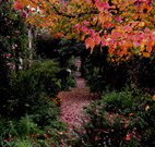 Gulgong B and B - Accommodation Port Hedland